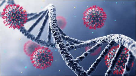 You are currently viewing चांदीपुरा वायरस: गुजरात और राजस्थान में बच्चों के लिए नया खतरा