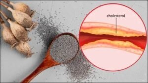 Read more about the article Chia seeds गंदे कोलोस्टर रुकने में मादत करता है जानिए क्या है फायदे चिया सीड के।