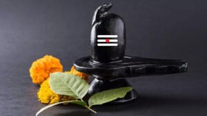 Read more about the article सावन का चौथा सोमवार: शिव भक्तों के लिए विशेष दिन, राशि अनुसार करें अभिषेक