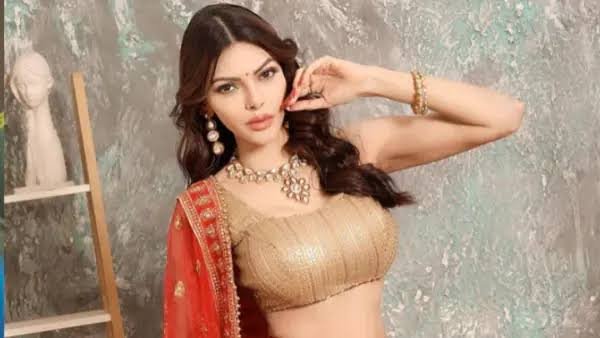 You are currently viewing शर्लिन चोपड़ा के बेबाक बयान और सर्जरी से बदला लुक, सोशल मीडिया पर किया खुलासा