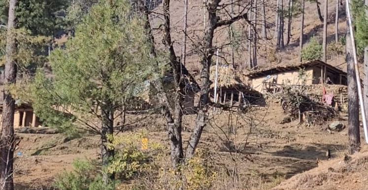 You are currently viewing Tangtheri: A Bandipora Hamlet Stuck in the Dark Ages, Where Children Are Born Handicapped and Dreams Die After Primary School in the Absence of Road