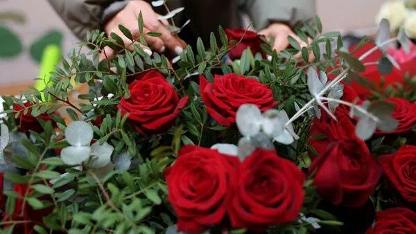 You are currently viewing 7 फरवरी को रोज डे क्यों मनाया जाता है? रोमियो-जूलिएट की प्रेम कहानी से जुड़ा खास कनेक्शन