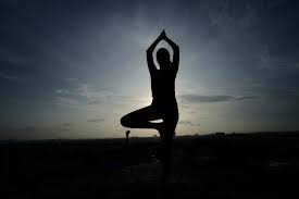 Read more about the article Yoga Day 2025: गुजरात और आंध्र प्रदेश ने रचे इतिहास, बने दो गिनीज वर्ल्ड रिकॉर्ड