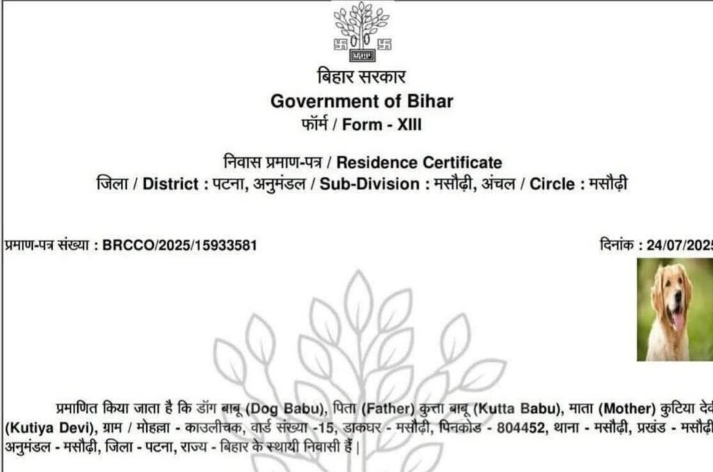 You are currently viewing कुत्ते के नाम जारी हुआ निवास प्रमाण पत्र, पटना प्रशासन पर उठे गंभीर सवाल