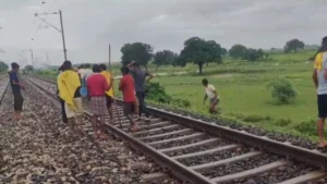 Read more about the article बिहार के आरा में दर्दनाक हादसा: रेल पटरी पर ट्रेन से कटकर 600 भेड़ों की मौत, गांव में पसरा मातम