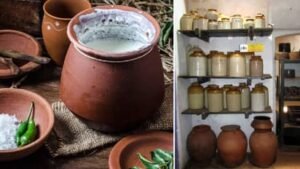 Read more about the article Food Preservation: मिट्टी के घड़े से लेकर नमक तक, ऐसे सुरक्षित रहता था खाना