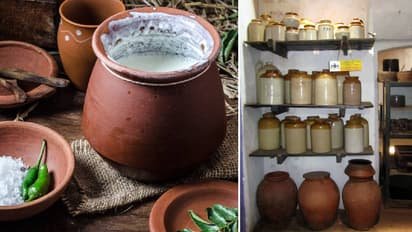 Read more about the article Food Preservation: मिट्टी के घड़े से लेकर नमक तक, ऐसे सुरक्षित रहता था खाना