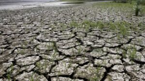 Read more about the article El Nino: NOAA की चेतावनी, अल नीनो (El Nino) के कारण दुनिया भर में बढ़ेगा सूखा और भीषण गर्मी का प्रकोप