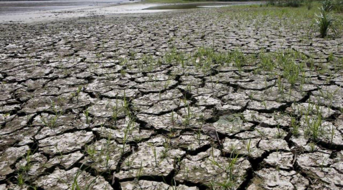 You are currently viewing El Nino: NOAA की चेतावनी, अल नीनो (El Nino) के कारण दुनिया भर में बढ़ेगा सूखा और भीषण गर्मी का प्रकोप