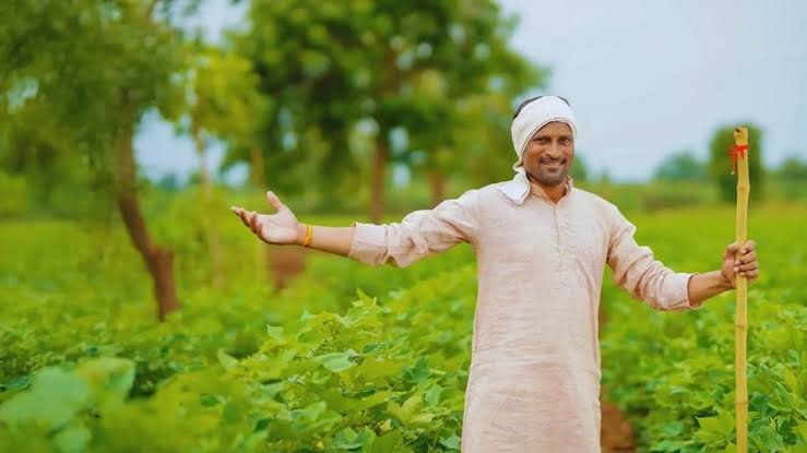 You are currently viewing Maharashtra Farmers: किसानों को बड़ी राहत, खराब बीज-खाद और कीटनाशक की शिकायतों का 7 दिन में होगा निपटारा
