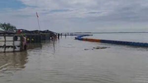 Read more about the article Amroha Flood: अमरोहा में गंगा उफान पर, बाढ़ का खतरा बढ़ा; डीएम-एसपी ने नाव से लिया जायजा
