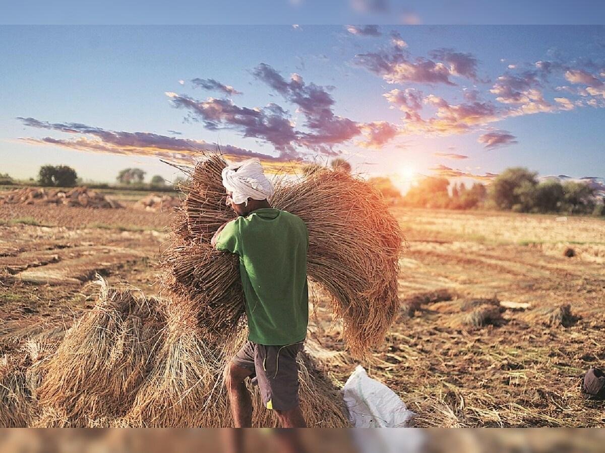 You are currently viewing UP Paddy Procurement 2026: यूपी में 12 अक्टूबर से धान खरीद, किसानों को 48 घंटे में मिलेगा भुगतान